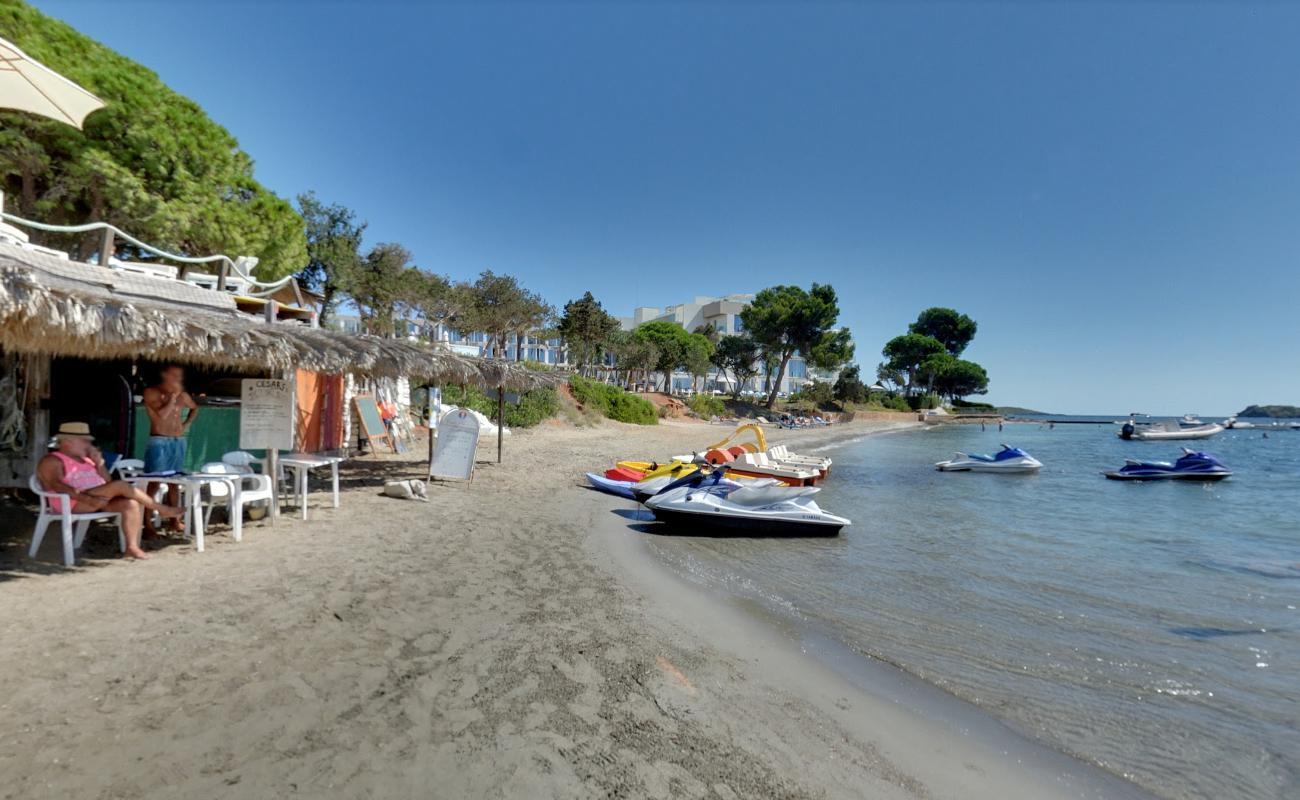 Platja Sargamasa'in fotoğrafı imkanlar alanı