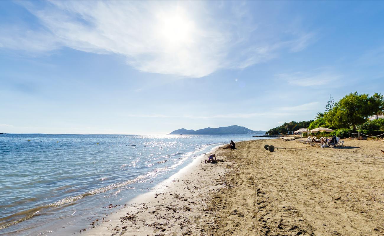 Playa Cala Martina'in fotoğrafı - rahatlamayı sevenler arasında popüler bir yer