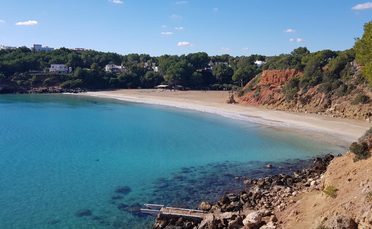 Cala Llenya Beach'in fotoğrafı parlak ince kum yüzey ile