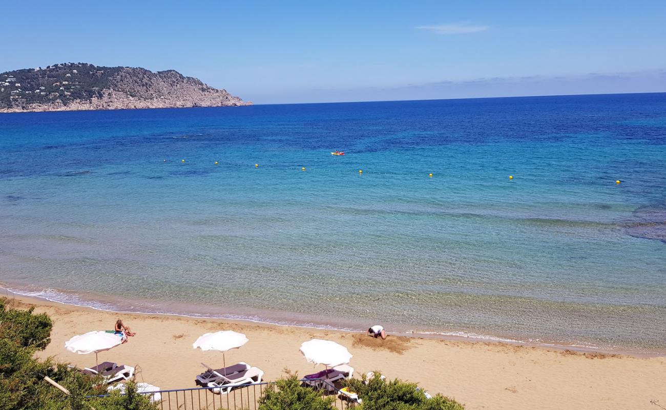 Platja des Figueral'in fotoğrafı parlak ince kum yüzey ile