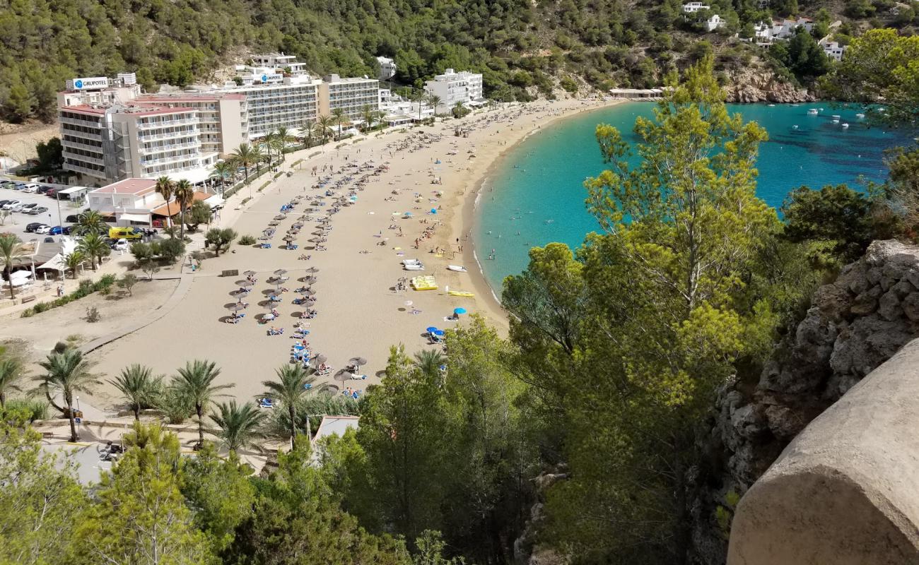 Cala de Sant Vicent Plajı'in fotoğrafı parlak ince kum yüzey ile