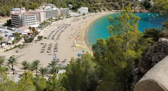 Cala de Sant Vicent Plajı