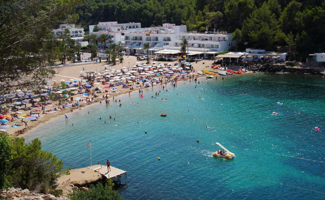 Platja des Port de Sant Miquel'in fotoğrafı i̇nce bej kum yüzey ile
