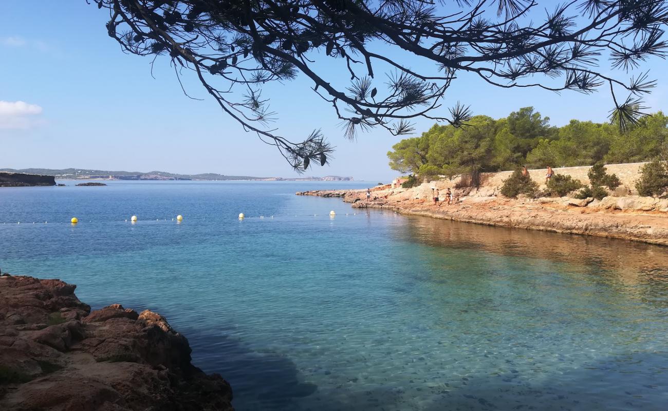 Cala Gracioneta'in fotoğrafı i̇nce bej kum yüzey ile