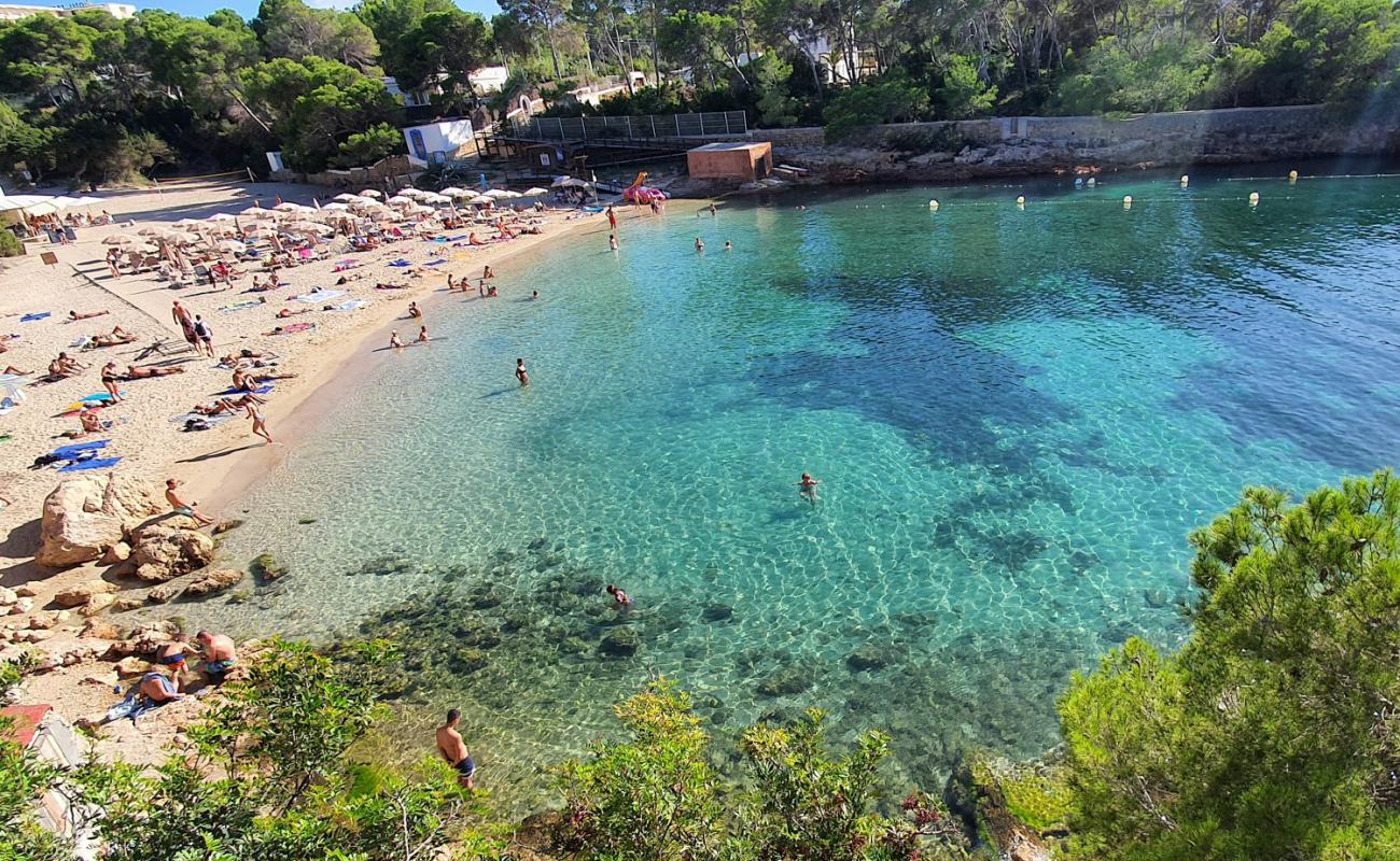 Cala Gracio'in fotoğrafı i̇nce bej kum yüzey ile
