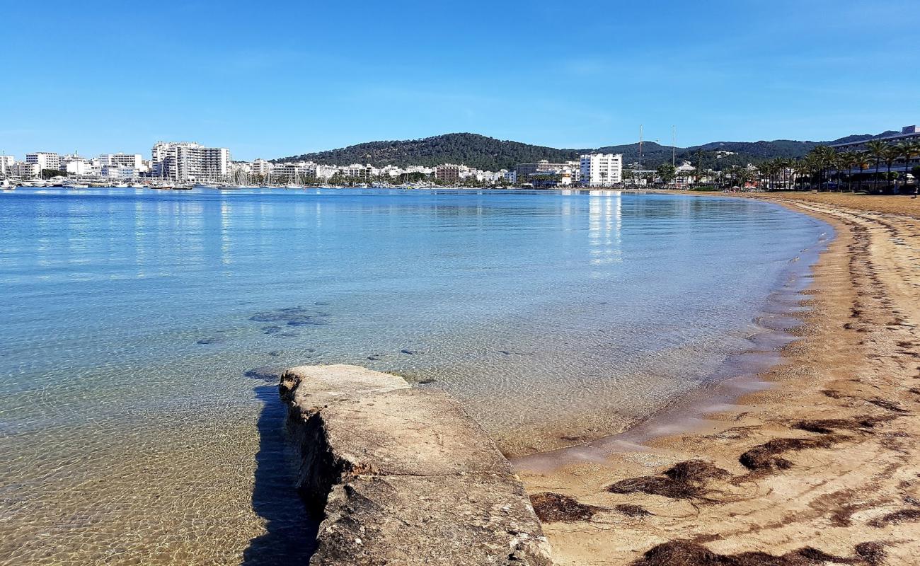 Punta des Molf'in fotoğrafı parlak ince kum yüzey ile