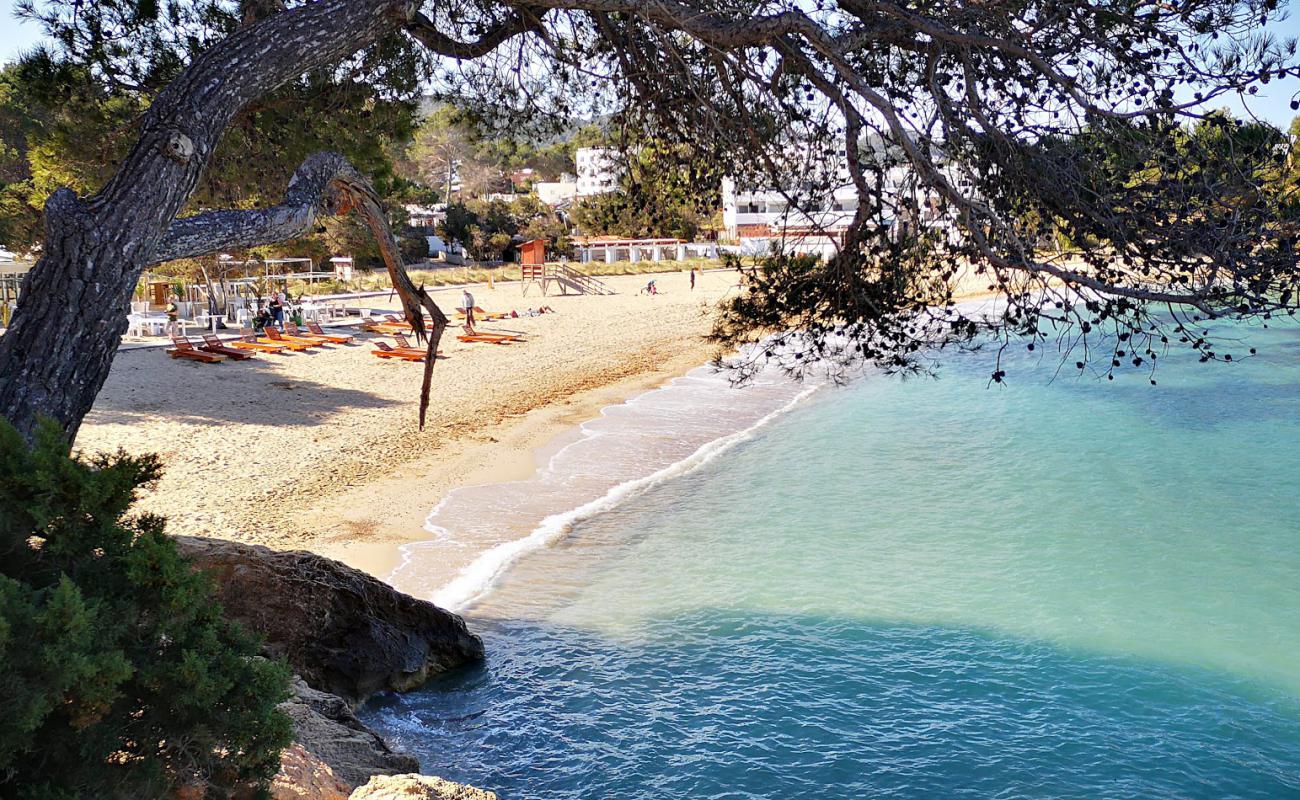 Alma Beach'in fotoğrafı parlak ince kum yüzey ile