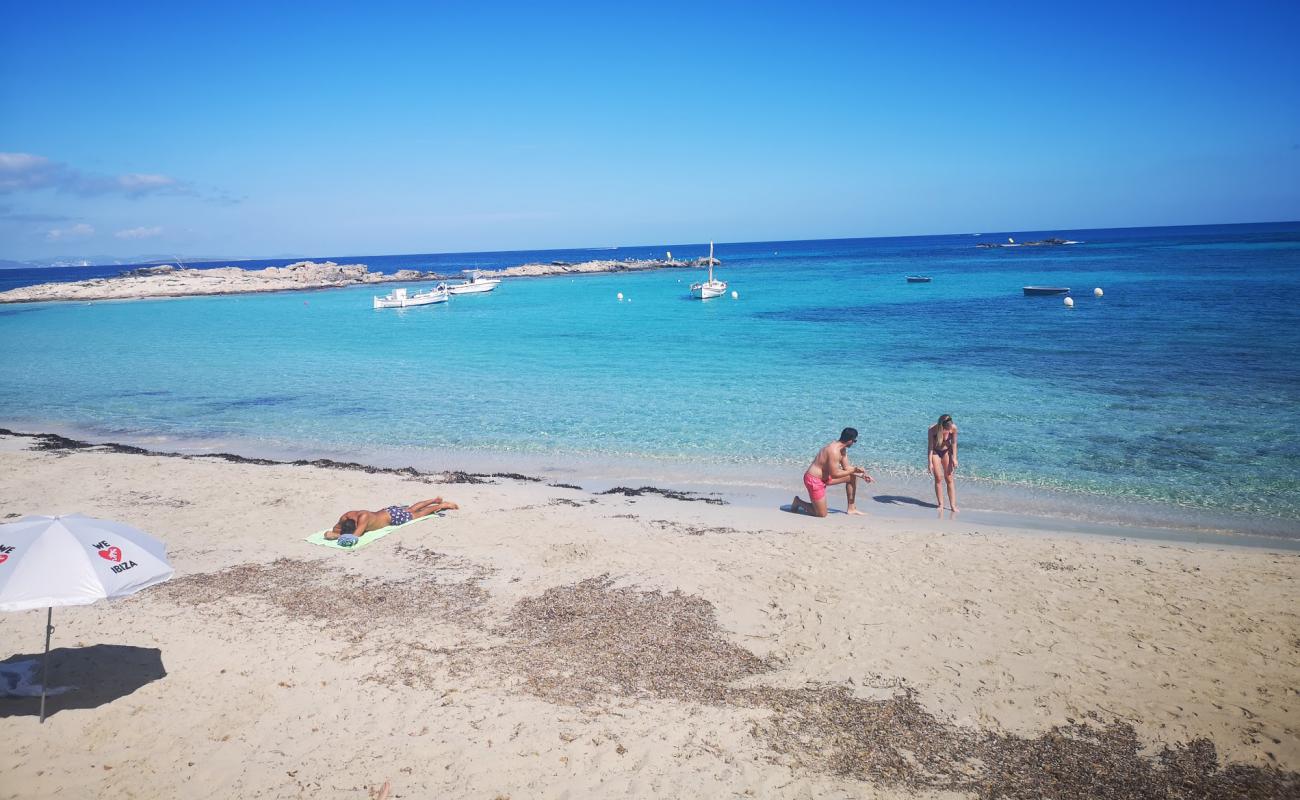 Platja de la Torreta'in fotoğrafı beyaz ince kum yüzey ile