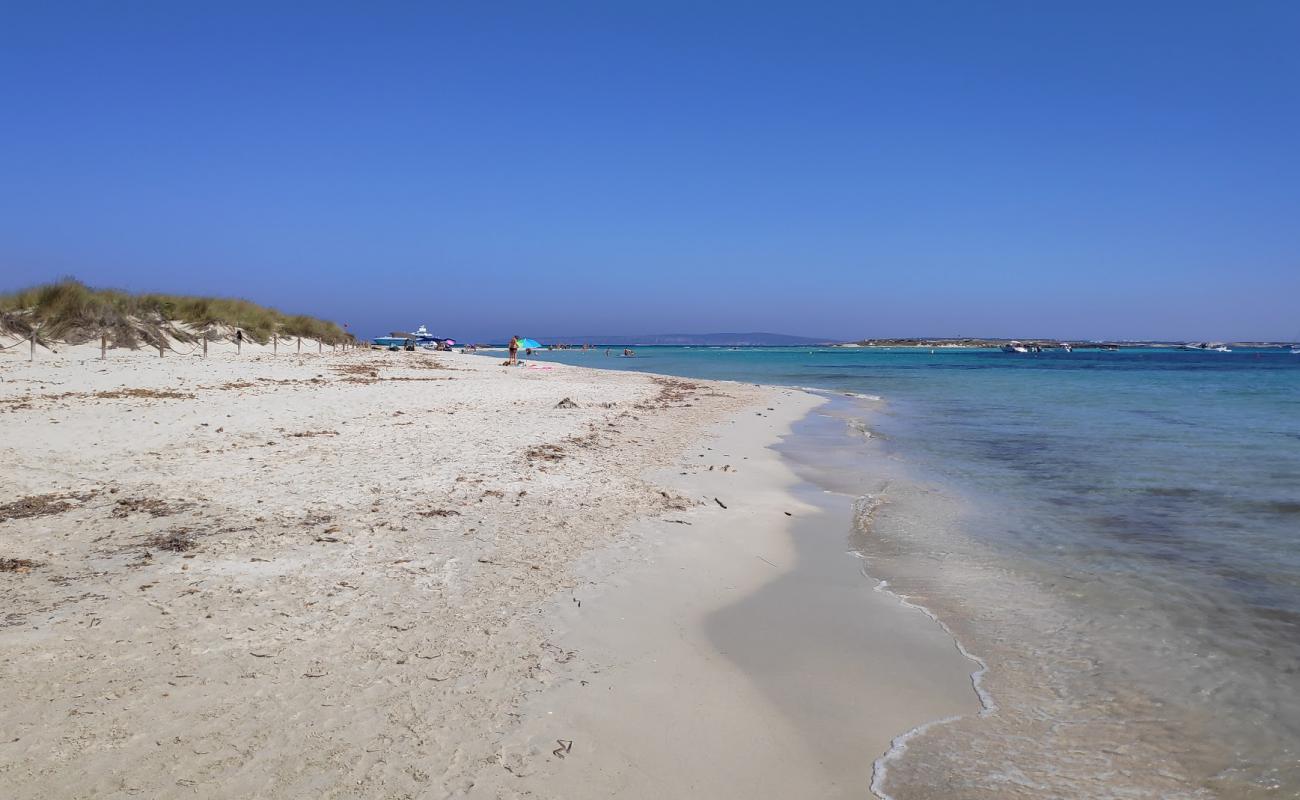 Platja de S'Alga'in fotoğrafı beyaz ince kum yüzey ile