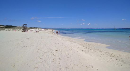 Platja de Llevant