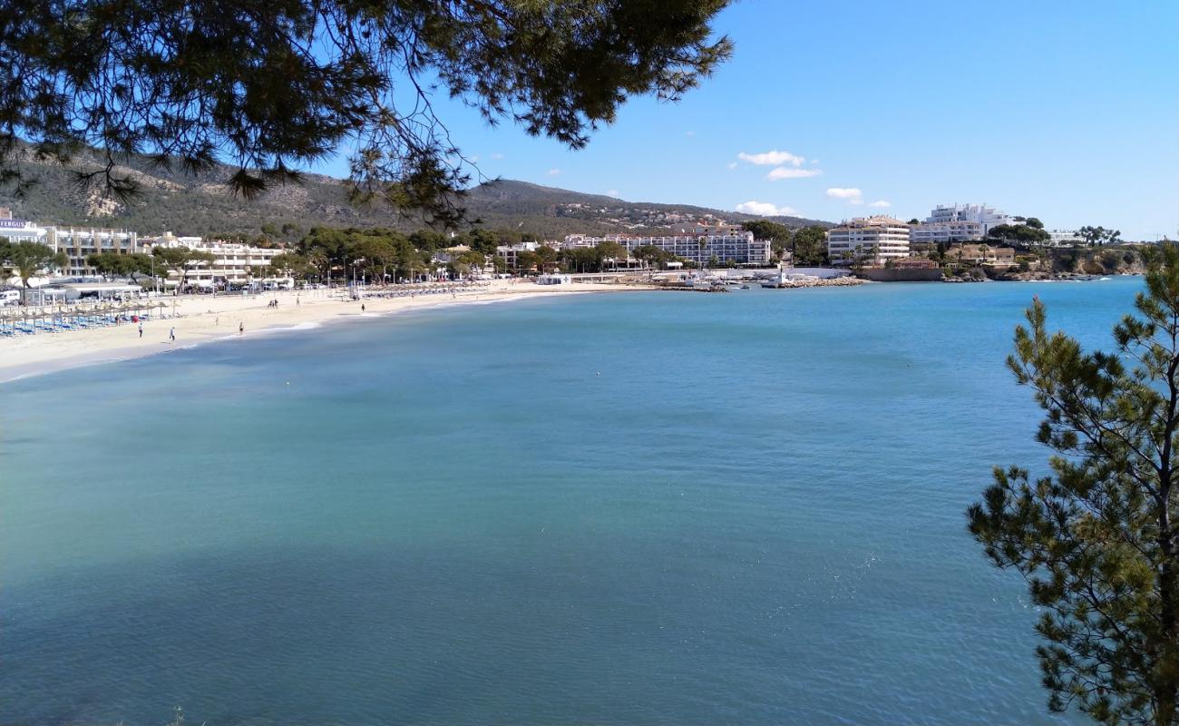 Porto Novo Plajı'in fotoğrafı parlak ince kum yüzey ile