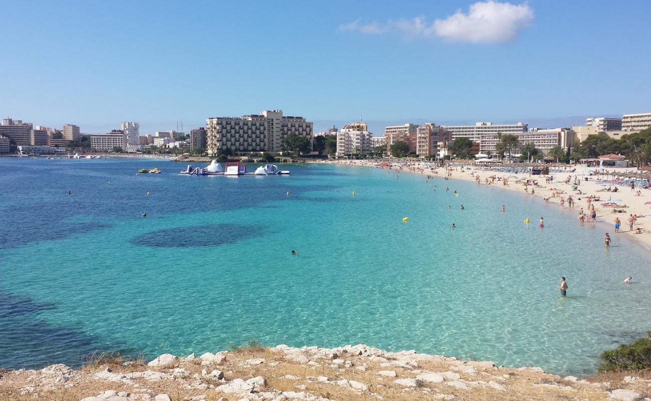 Palmanova Plajı II'in fotoğrafı parlak ince kum yüzey ile