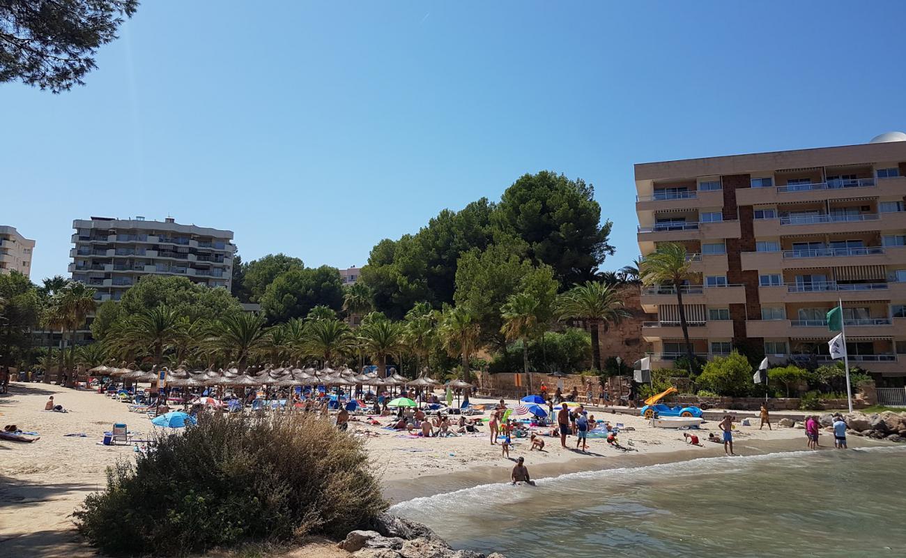 Playa Cala Vinyes'in fotoğrafı parlak ince kum yüzey ile