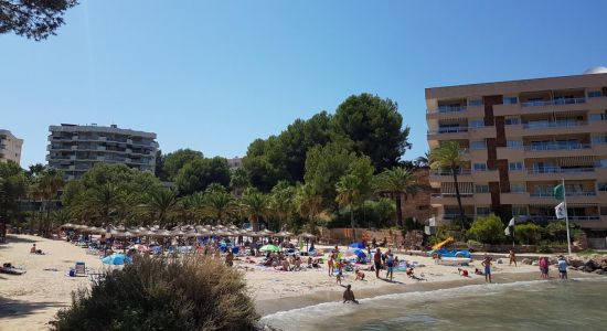 Playa Cala Vinyes