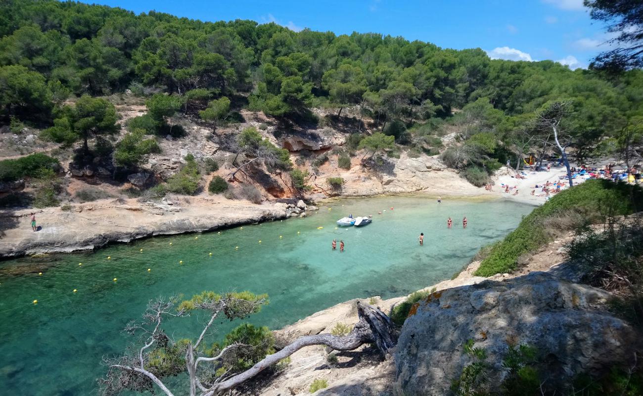 Cala Cap Falco'in fotoğrafı i̇nce bej kum yüzey ile