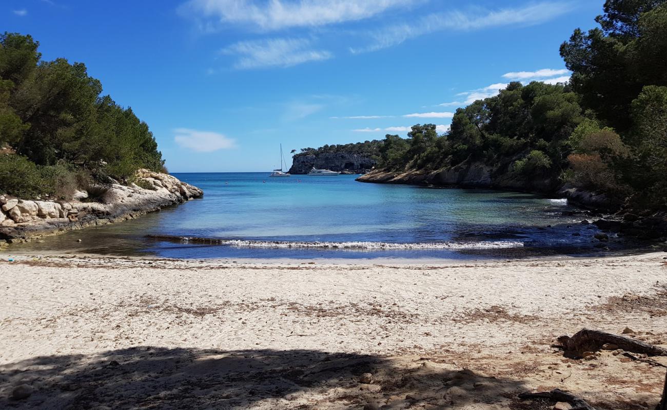 Calo dels Reis'in fotoğrafı parlak ince kum yüzey ile