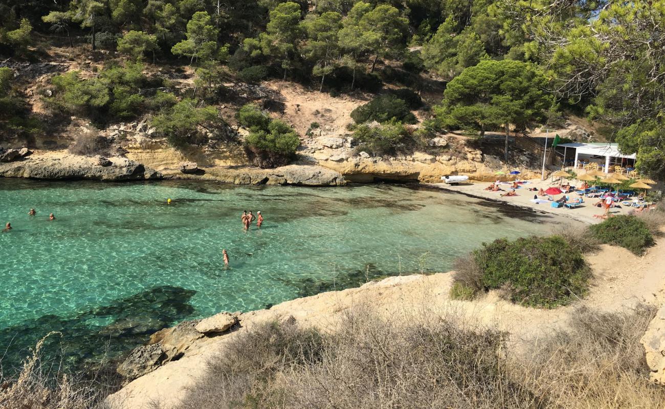 Playa del mago'in fotoğrafı parlak ince kum yüzey ile