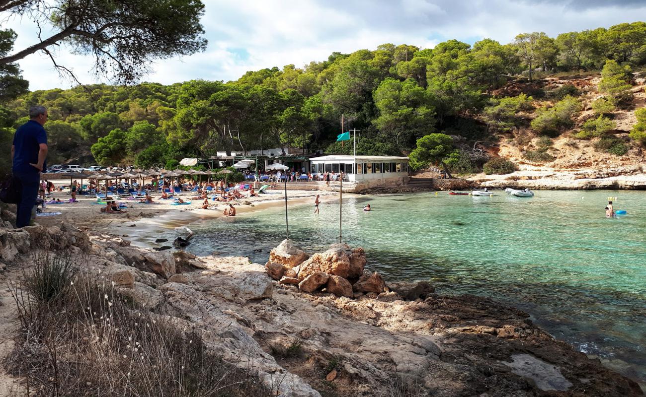 Cala Portals Vells'in fotoğrafı parlak ince kum yüzey ile