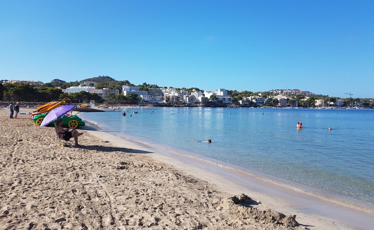 Playa Santa Ponsa'in fotoğrafı parlak ince kum yüzey ile