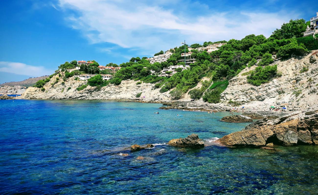 Playa Monte de Oro'in fotoğrafı kayalık arazi yüzey ile
