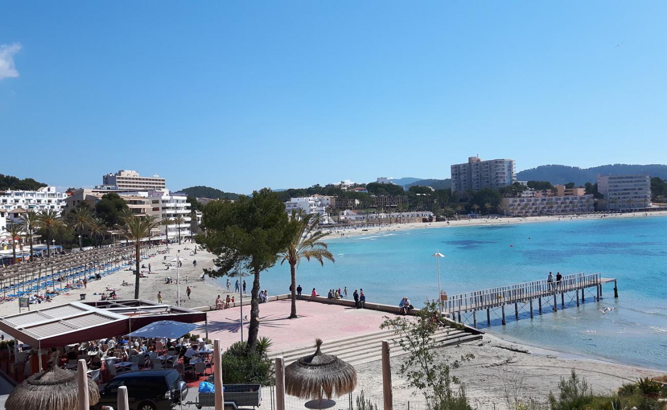 Platja Gran de Tora'in fotoğrafı i̇nce bej kum yüzey ile