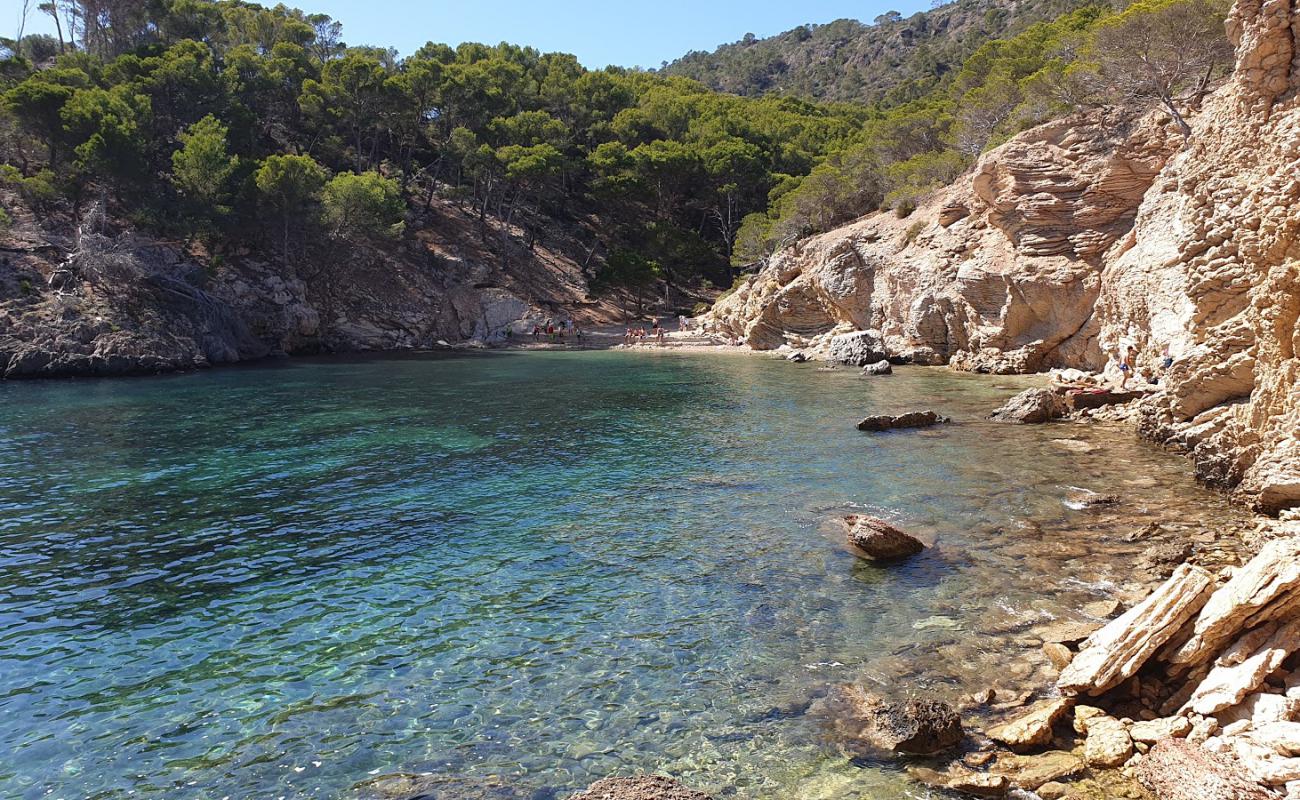 Calo d'en Monjo'in fotoğrafı parlak kum ve kayalar yüzey ile