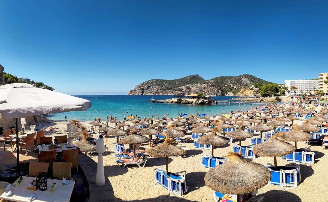 Camp De Mar beach'in fotoğrafı parlak ince kum yüzey ile