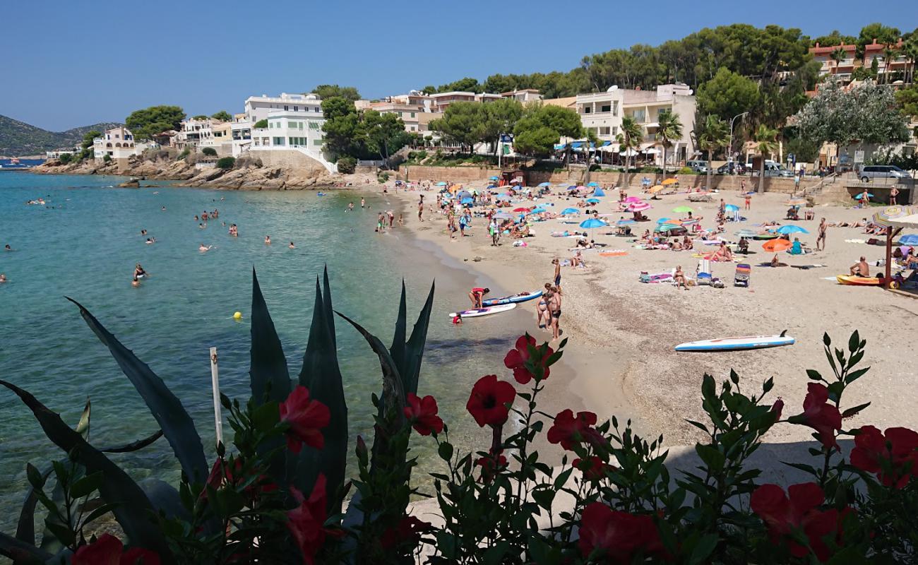 Platja de Sant Elm'in fotoğrafı i̇nce bej kum yüzey ile