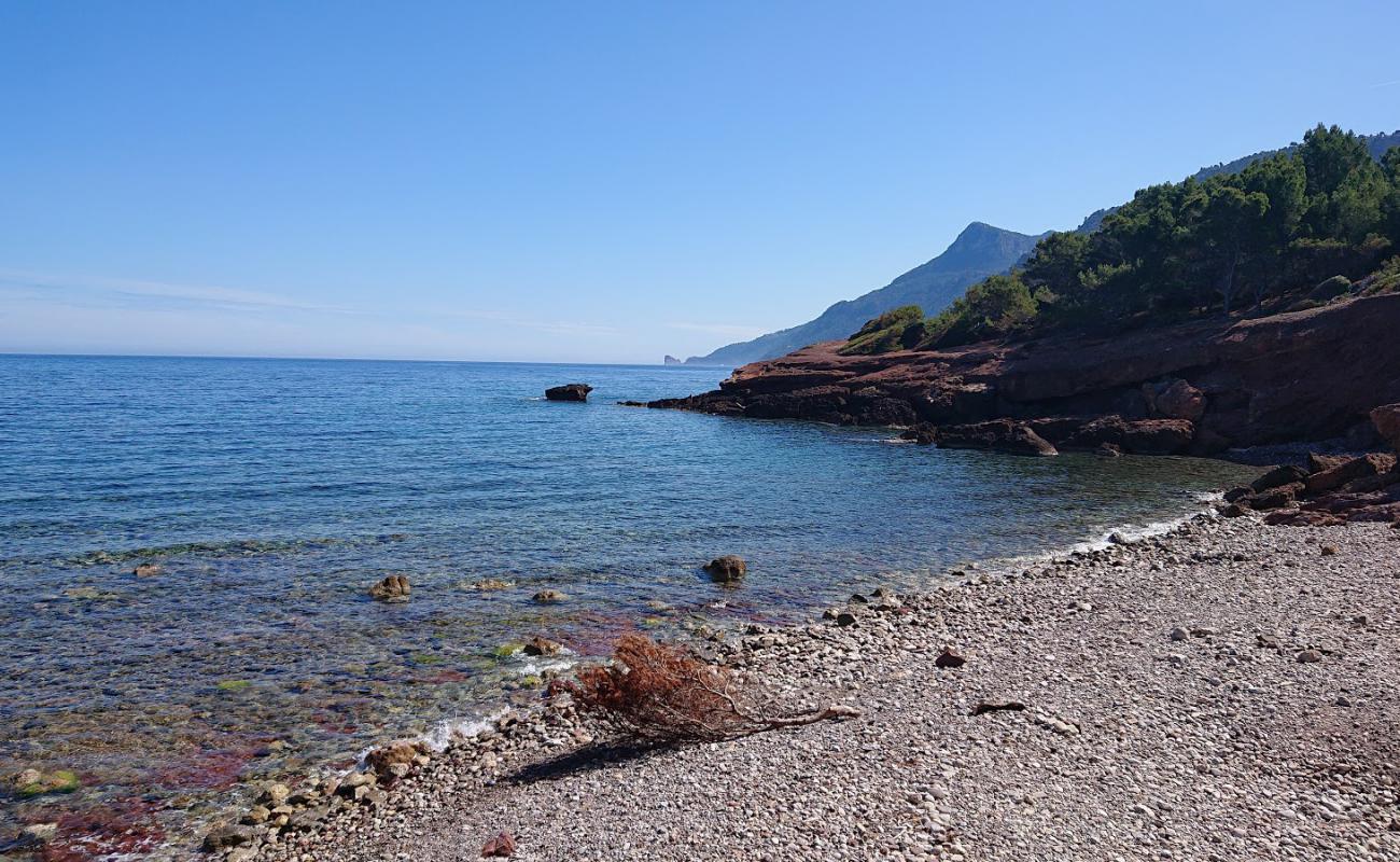 Beach Cala Gata'in fotoğrafı kayalık arazi yüzey ile