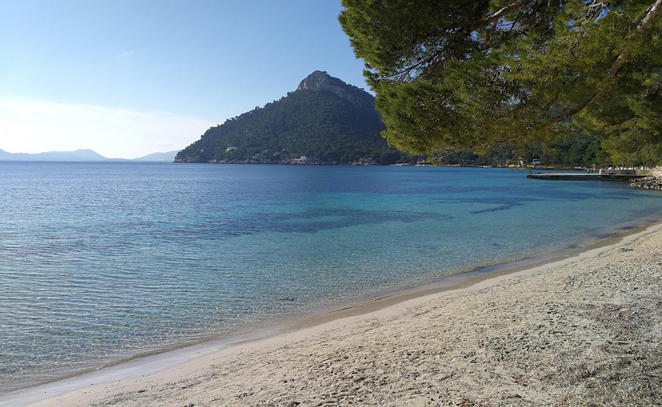 Formentor Plajı'in fotoğrafı parlak ince kum yüzey ile