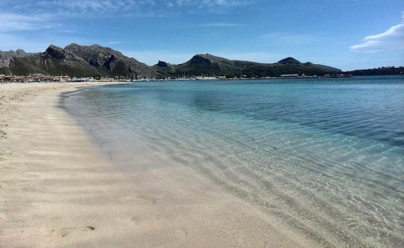 Pollença Plajı'in fotoğrafı parlak ince kum yüzey ile