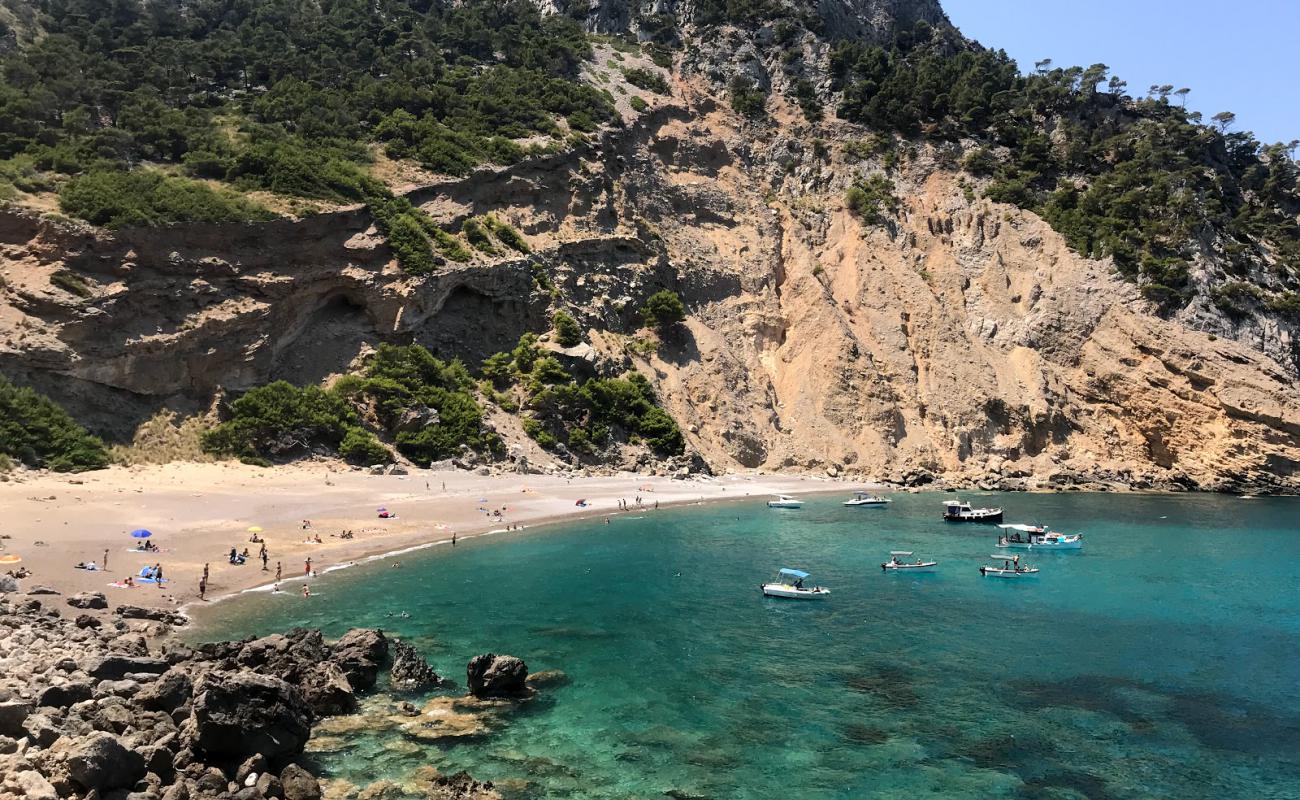 Playa del Coll Baix'in fotoğrafı bej kum ve kayalar yüzey ile