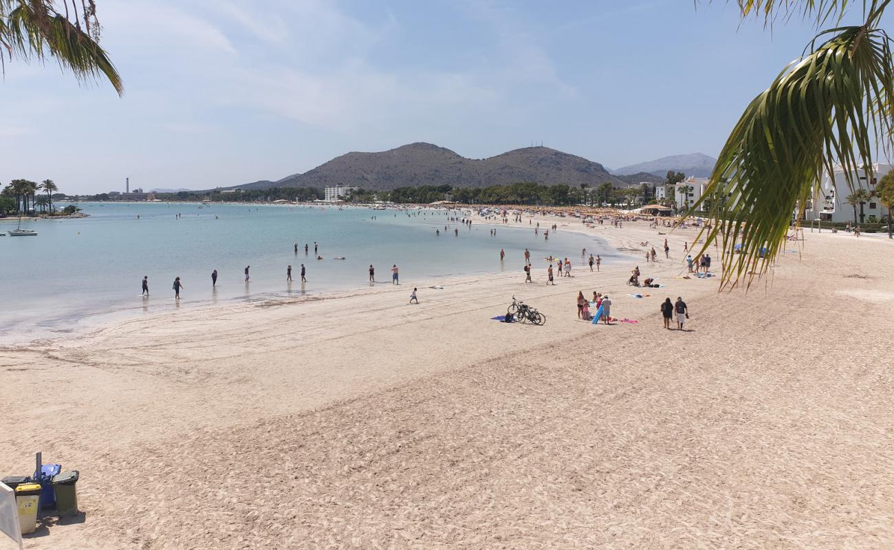 Alcudia Plajı'in fotoğrafı parlak ince kum yüzey ile