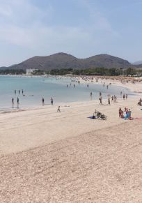 Alcudia