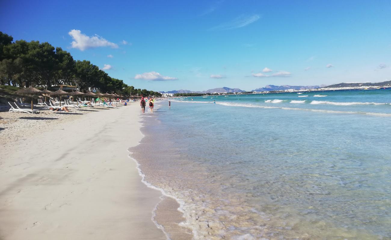 Alcudia Beach 2'in fotoğrafı parlak ince kum yüzey ile