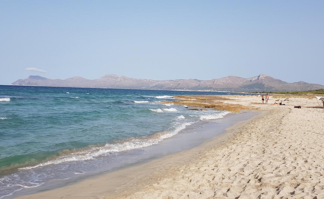Platja de Son Real'in fotoğrafı bej kum ve kayalar yüzey ile