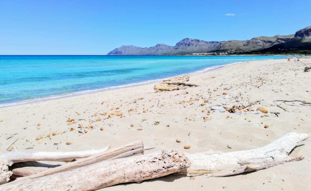 S'Arenal beach'in fotoğrafı parlak ince kum yüzey ile