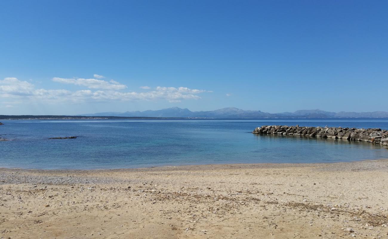 Platja Colonia'in fotoğrafı açık bej kum yüzey ile