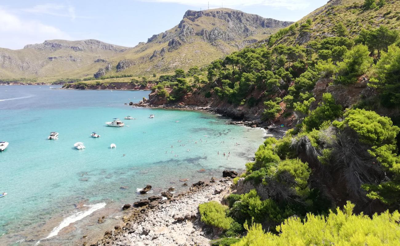 Cala Na Clara'in fotoğrafı parlak kum yüzey ile