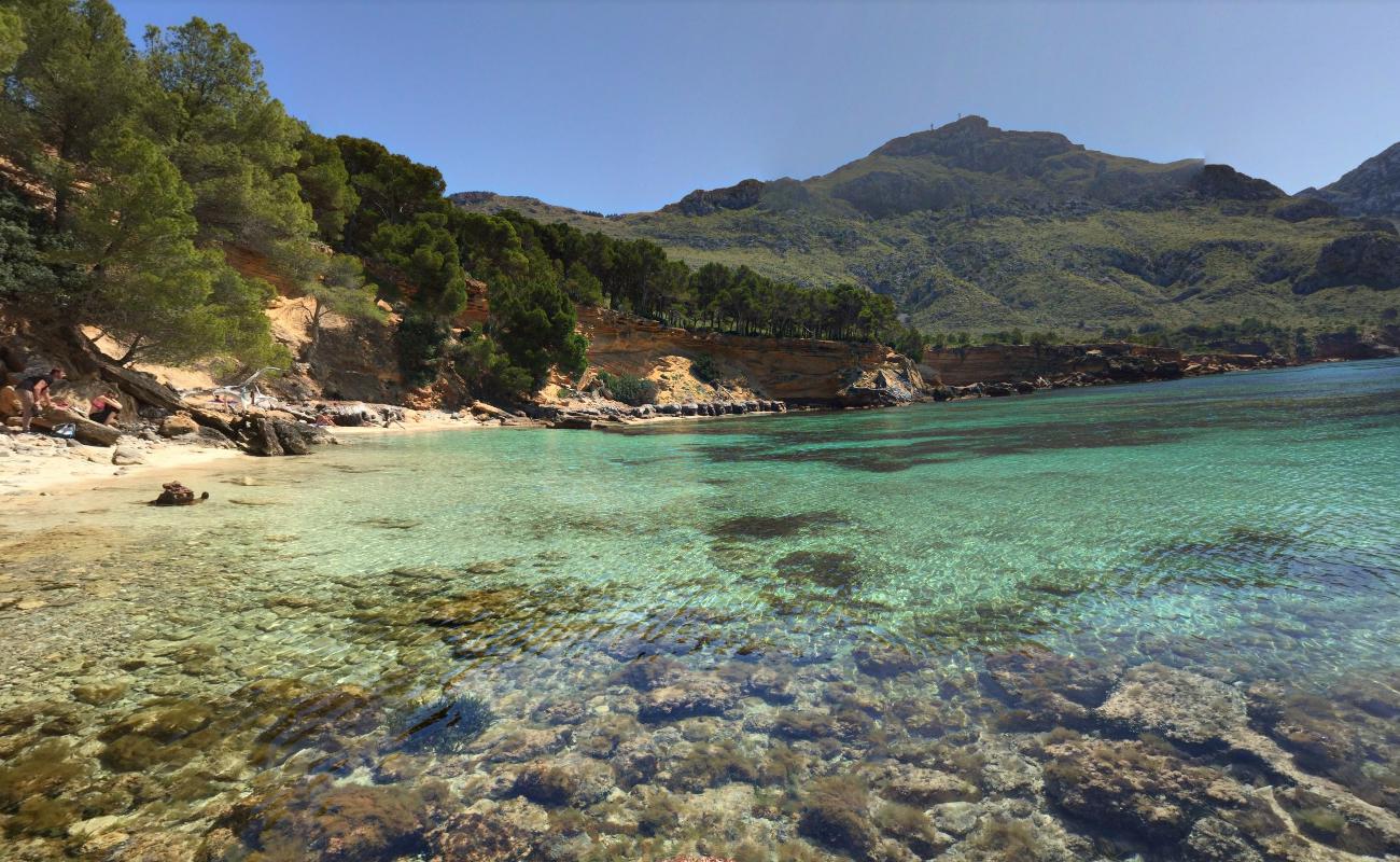 Platja des Calo'in fotoğrafı - rahatlamayı sevenler arasında popüler bir yer