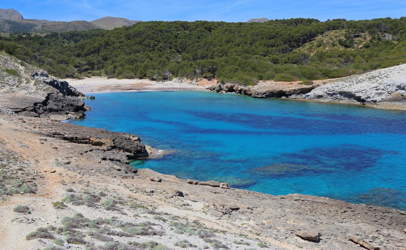 Cala des Matzoc'in fotoğrafı bej kum ve çakıl yüzey ile