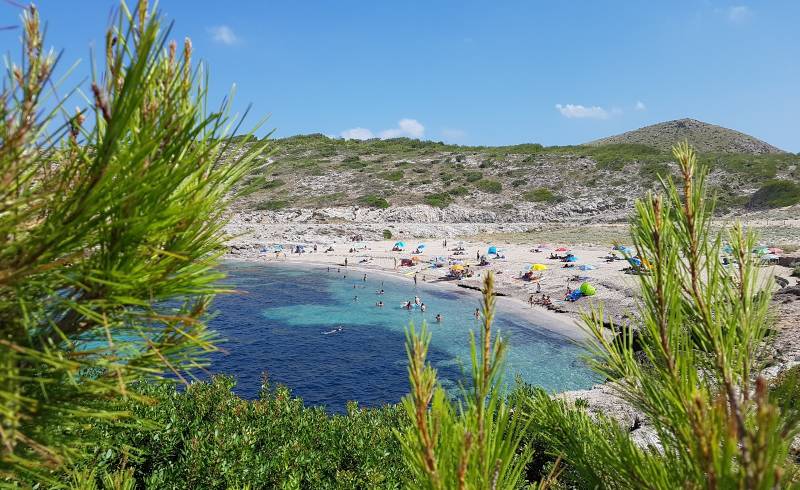 Cala Mitjana'in fotoğrafı parlak kum yüzey ile