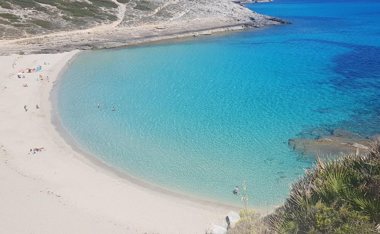Cala Torta'in fotoğrafı i̇nce bej kum yüzey ile