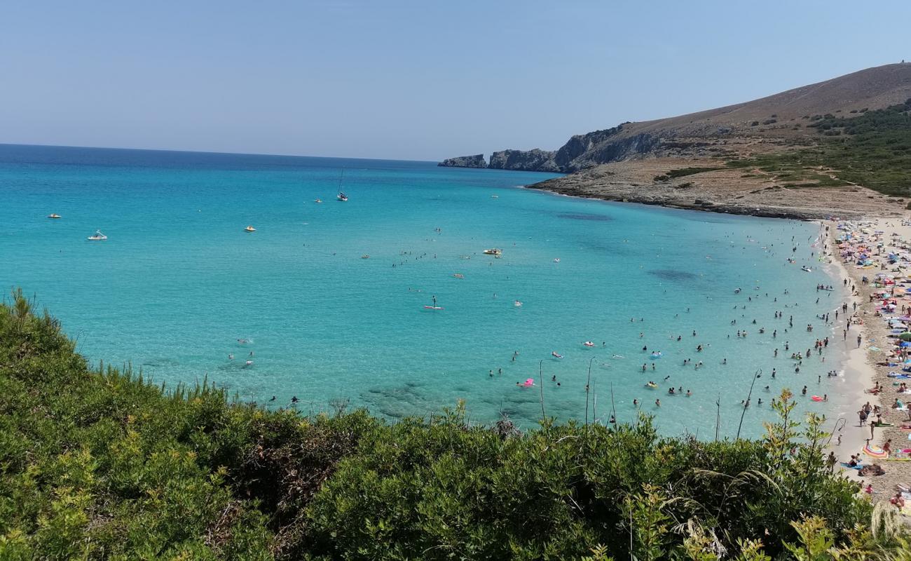 Cala Mesquida'in fotoğrafı i̇nce bej kum yüzey ile
