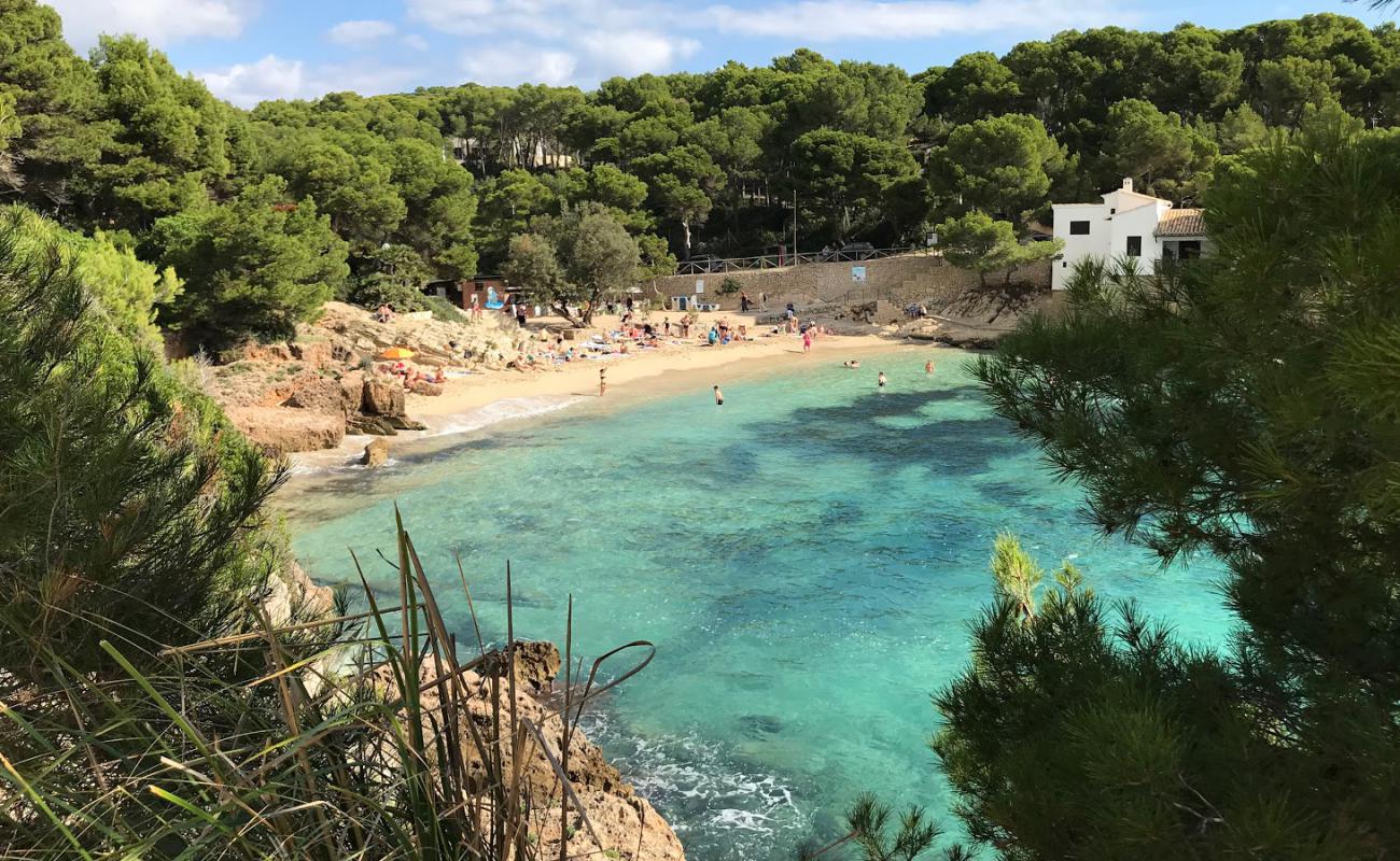 Cala Gat Plajı'in fotoğrafı parlak ince kum yüzey ile