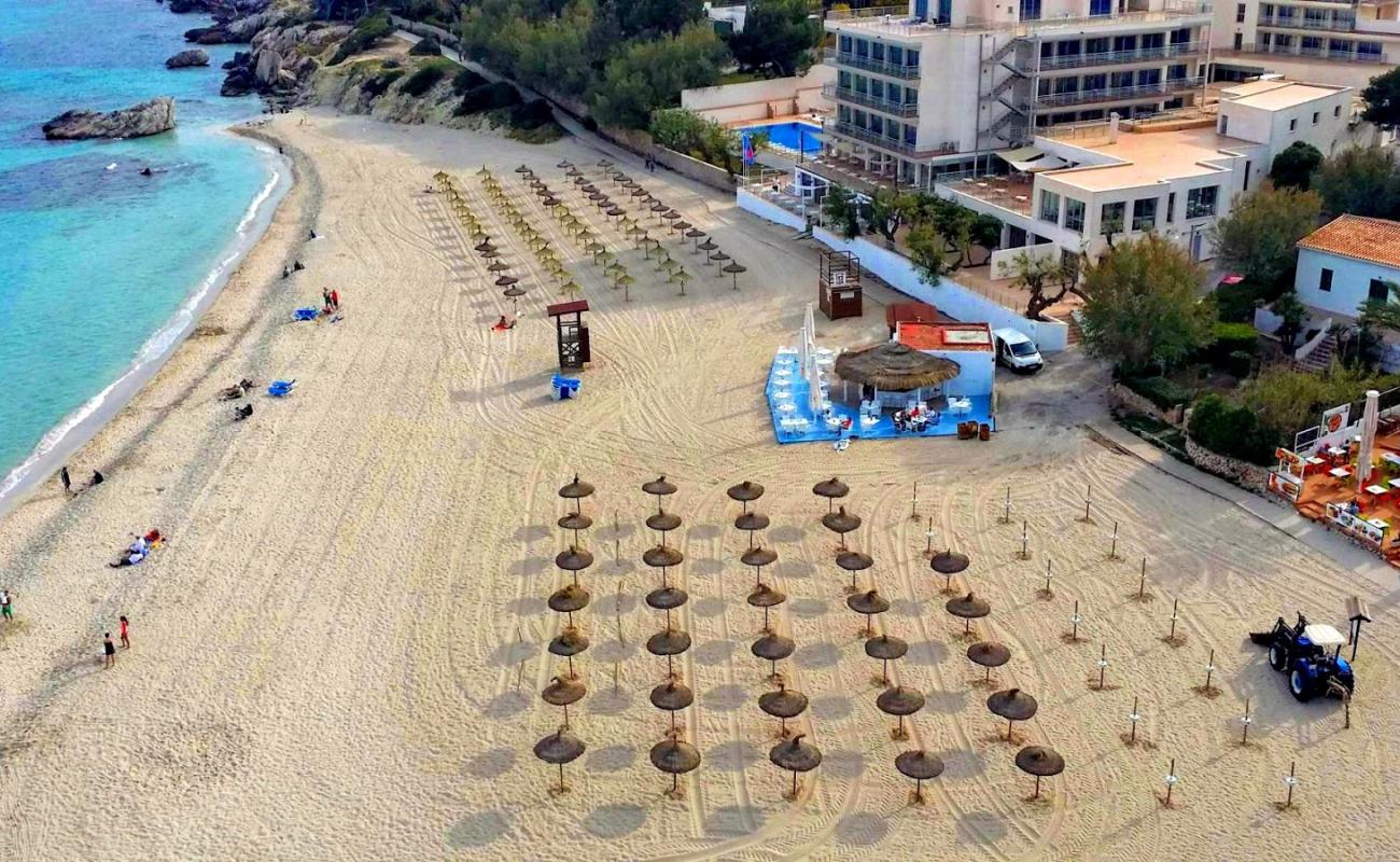 Cala Son Moll'in fotoğrafı parlak ince kum yüzey ile