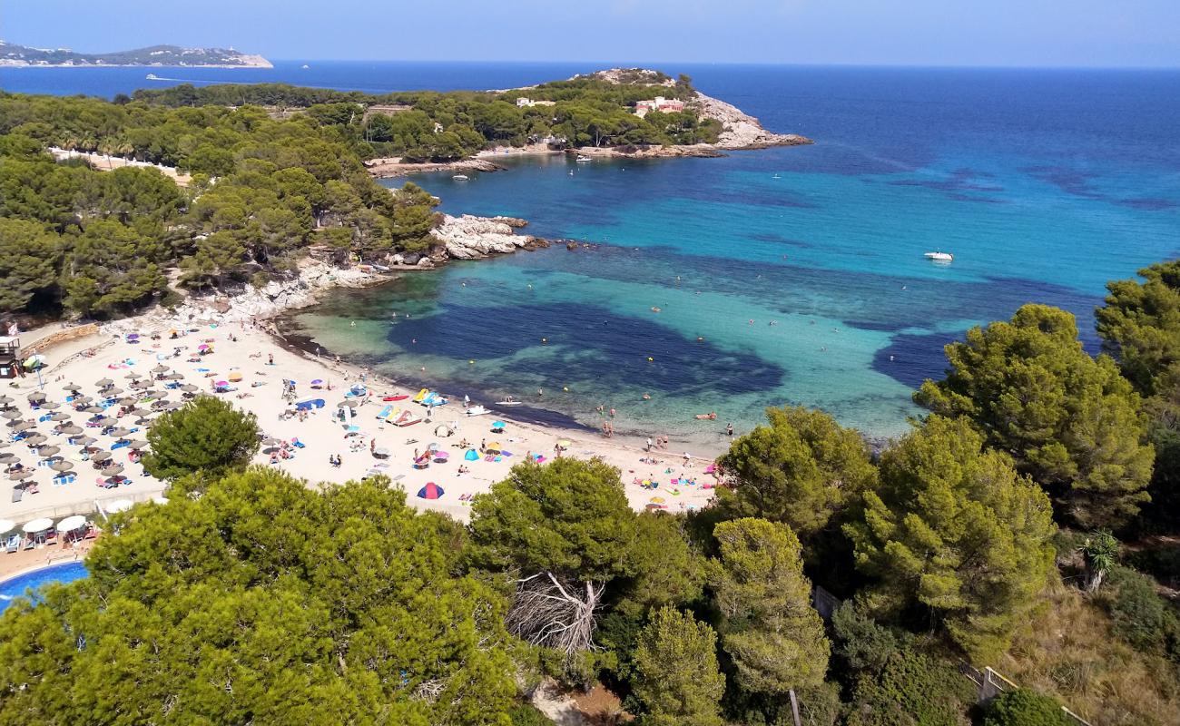 Cala Font De Sa Cala'in fotoğrafı parlak ince kum yüzey ile