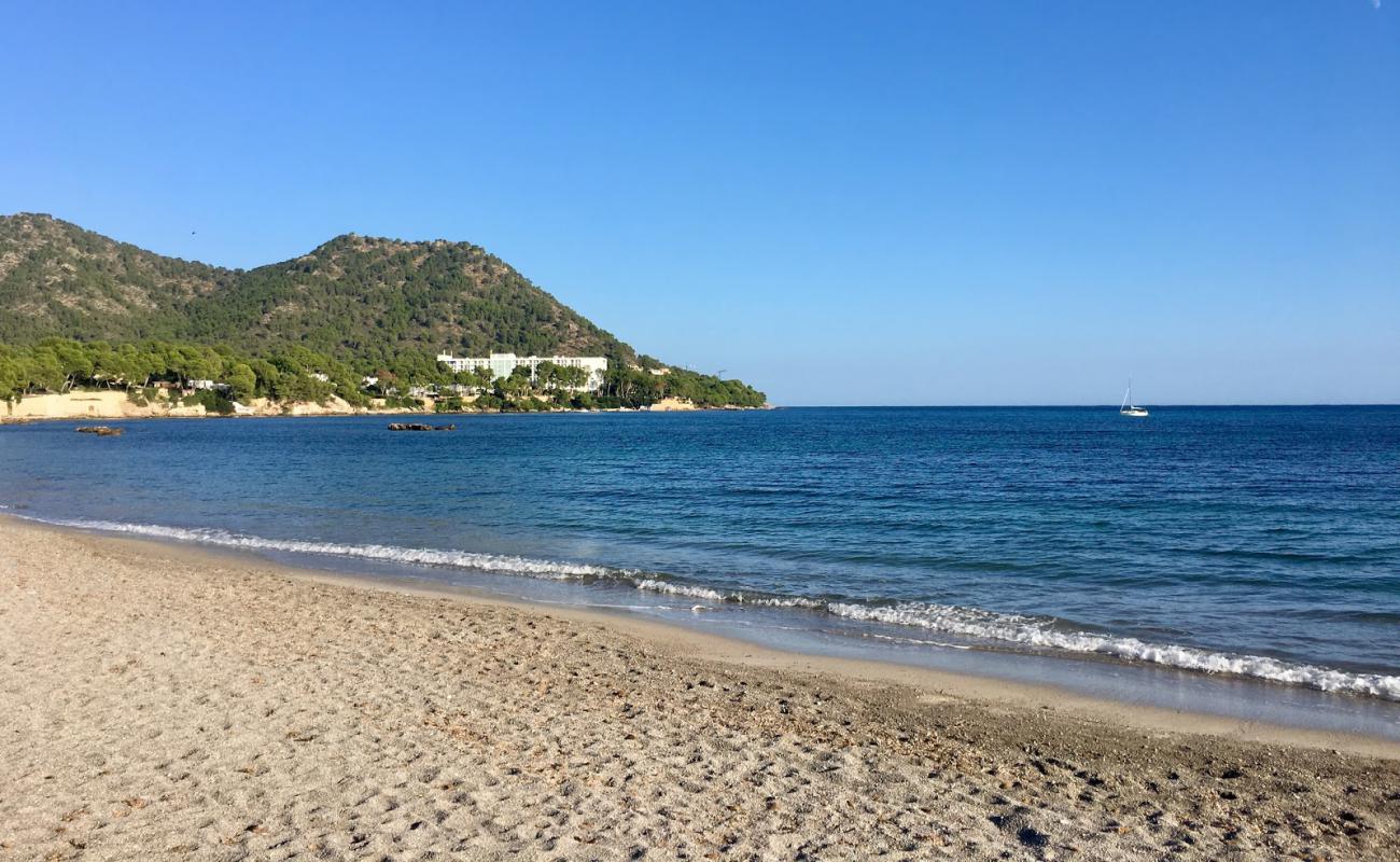 Platja de Sa Marjal'in fotoğrafı açık bej kum yüzey ile