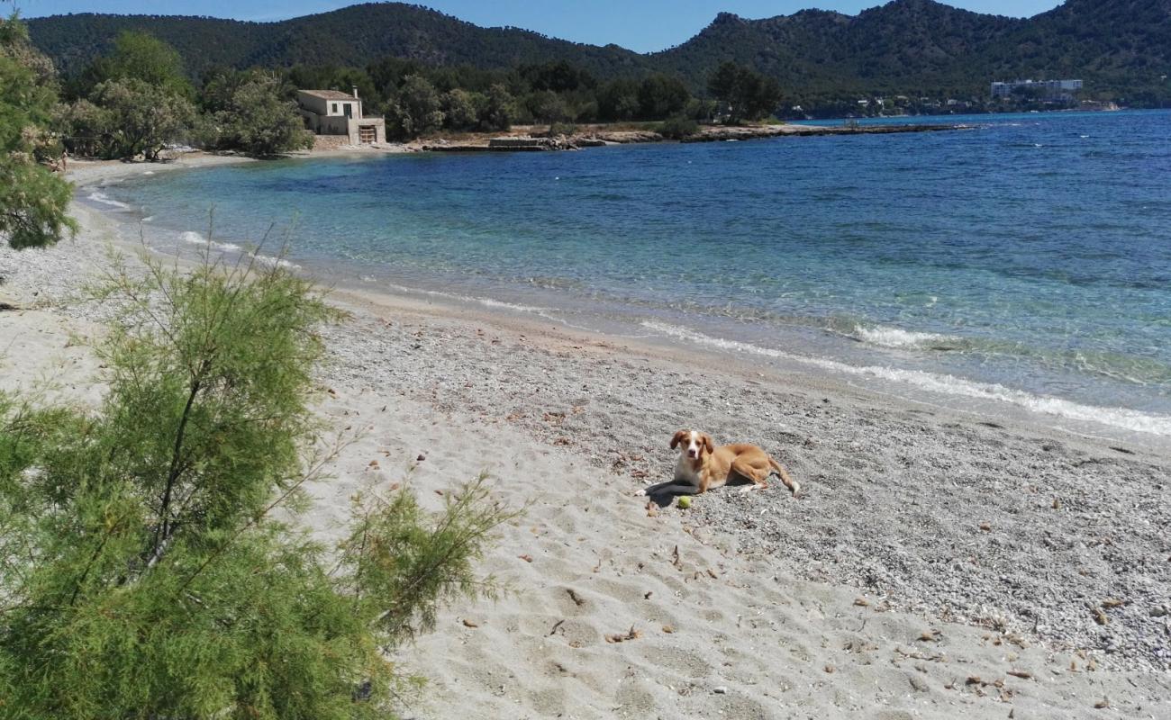 Platja des Port Vella'in fotoğrafı bej kum ve çakıl yüzey ile