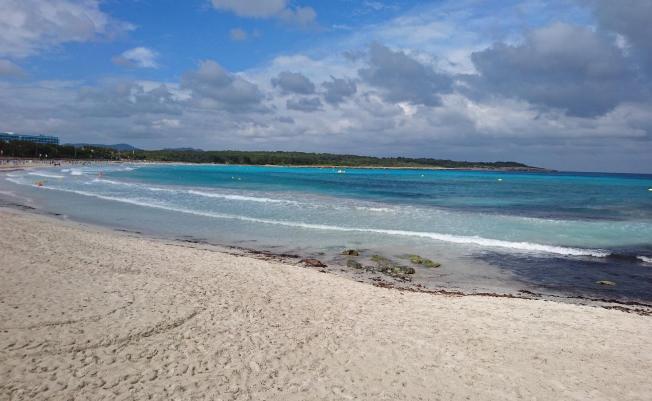 Playa de Sa Coma'in fotoğrafı parlak ince kum yüzey ile